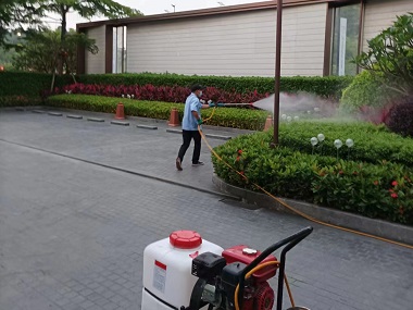 罗村除四害中心基孔肯雅热预防方法