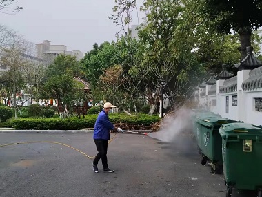 和顺四害消杀公司预防登革热，从灭蚊消杀开始
